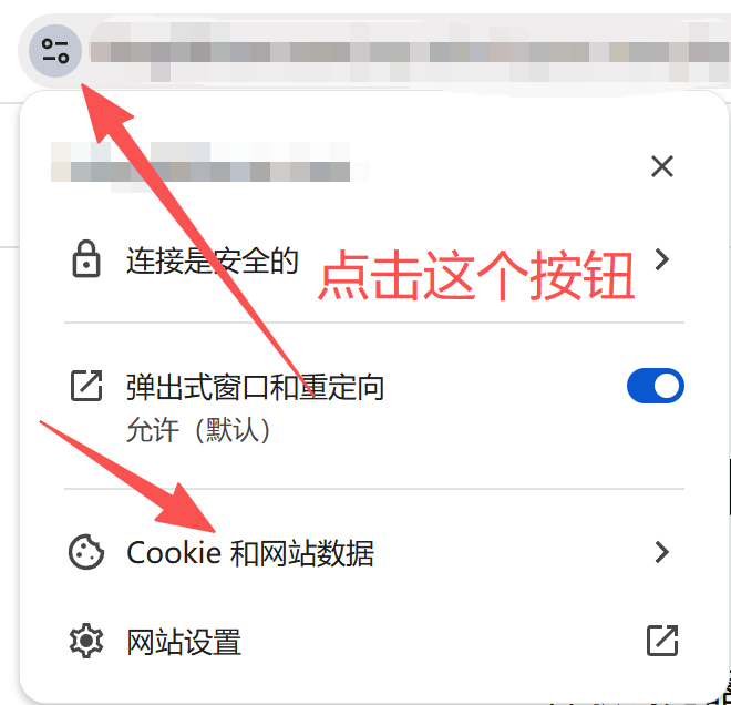 Google 浏览器清除指定网站 Cookies 和缓存
