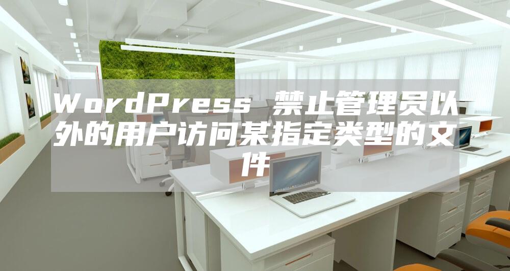 WordPress 禁止管理员以外的用户访问某指定类型的文件